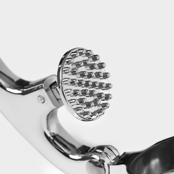 Пресс для чеснока Доляна &laquo;Идея&raquo;, 16,5 см