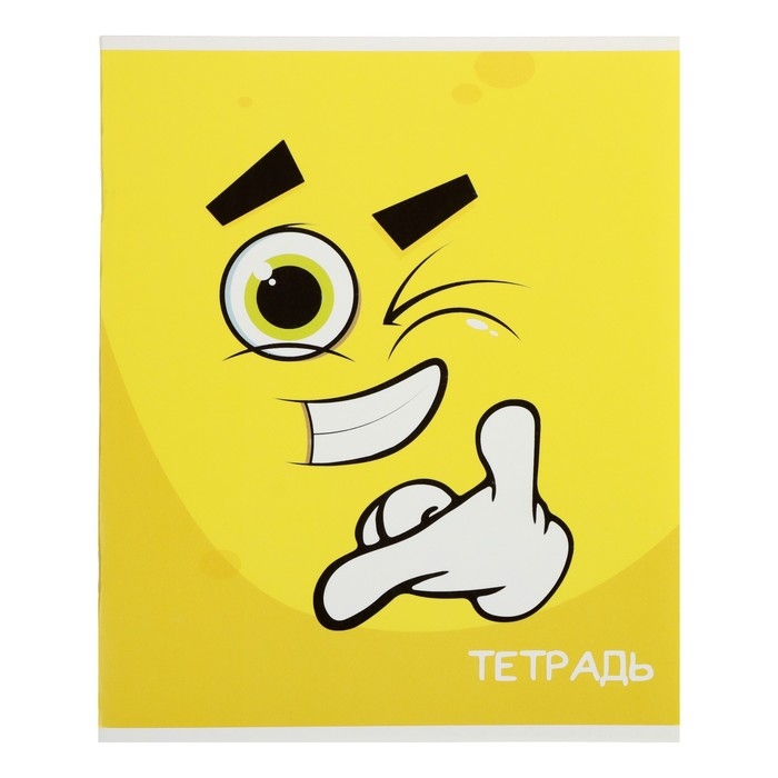 Комплект тетрадей из 10 штук (5 видов по 2 штуки), 48 листов в клетку Calligrata Комплект тетрадей из 10 штук (5 видов по 2 штуки), 48 листов в клетку Calligrata "Смайлики", обложка мелованный картон, блок офсет