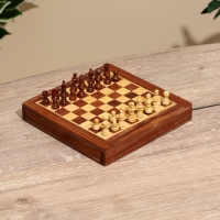 Шахматы магнитные 20,5х20,5х3,5 см, дерево шишам Шахматы магнитные 20,5х20,5х3,5 см, дерево шишам