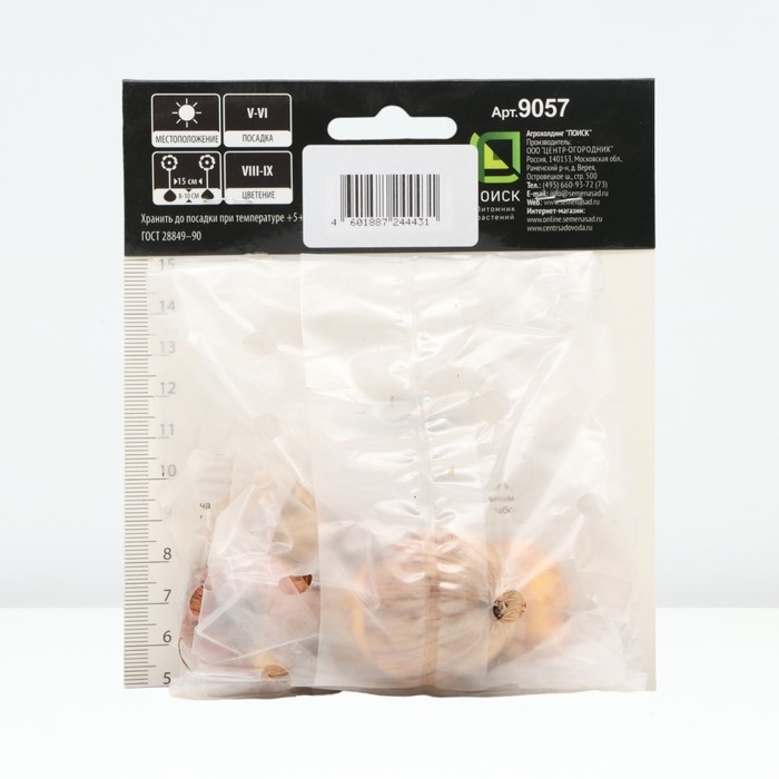 Гладиолус крупноцветковой &laquo;Российская селекция Малика&raquo;, луковица цветов в пакете с перфорацией, р-р 10/12, 5 шт.