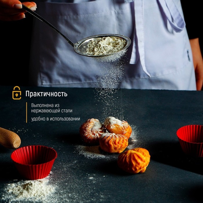 Сито для снятия пены из нержавеющей стали Доляна &laquo;Металлик&raquo;, 26&times;10 см