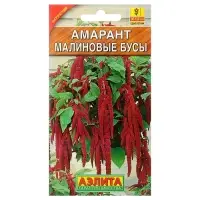 Набор семян Амарант "Малиновые бусы", О, 5 шт.