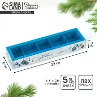 Коробка под 5 конфет с ячейками &laquo;Морозная роскошь&raquo;, 6 х 23 х 3 см