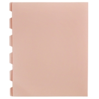 Нотная папка - 20 файлов 40 листов розовая