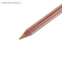 Пастель сухая в карандаше Koh-I-Noor GIOCONDA 8820/46 Soft Pastel, сиена натуральная Пастель сухая в карандаше Koh-I-Noor GIOCONDA 8820/46 Soft Pastel, сиена натуральная