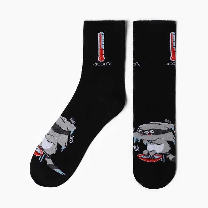 Носки мужские KAFTAN Носки мужские KAFTAN "Енот" р. 41-44 (27-29 см)