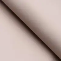 Пленка для цветов тонированная, матовая, пыльная, 57&times;57 см, 65 мкм