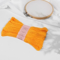 Набор ниток мулине №742, 8 ± 1 м, 6 шт, цвет тёмно-жёлтый Набор ниток мулине №742, 8 ± 1 м, 6 шт, цвет тёмно-жёлтый