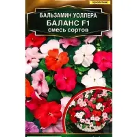 Семена цветов Бальзамин Баланс F1, смесь сортов  С. Hem Genetics Золотая серия, Ц/П,7 шт.