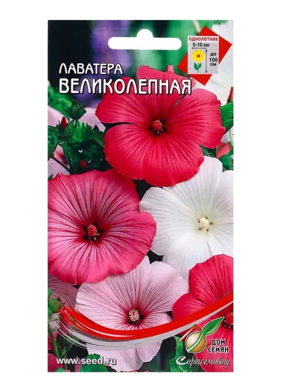 Семена цветов Лаватера Великолепная 45 шт