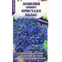 Семена Лобелия Эринус Кристалл Палас /Сотка/ 0,05г/ h-15-20, d-1-2 /*1800