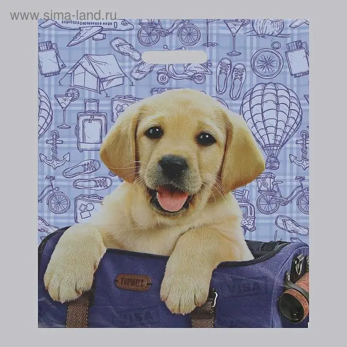 Пакет "Турист", полиэтиленовый с вырубной ручкой, 60 мкм, 38 х 47 см