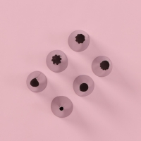 Набор кондитерский Доляна &laquo;Хоста&raquo;, 8 предметов: 6 насадок, адаптер, мешок кондитерский 27&times;15 см, цвет МИКС