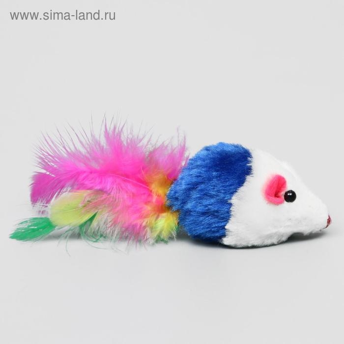 Набор игрушек для кошек: мышь 5 см и игрушка с бубенчиком Набор игрушек для кошек: мышь 5 см и игрушка с бубенчиком "Амфитеатр" 6,8х4 см, микс цветов