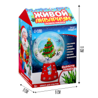 Набор для опытов &laquo;Новогодний флорариум&raquo;