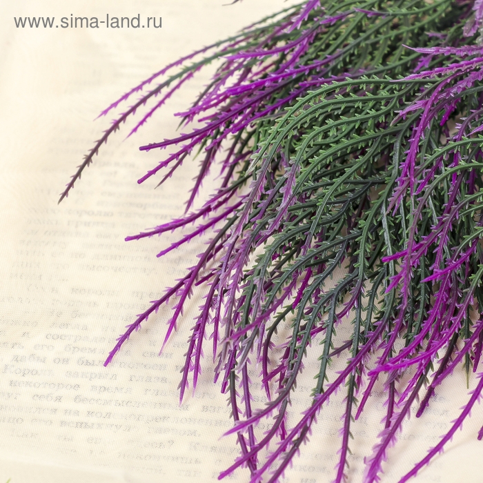 Букет Букет "Пырей" 35 см, микс