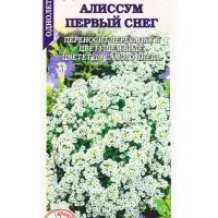 Семена Алиссум Первый снег белый /Сотка/ 0,05 г/*1500