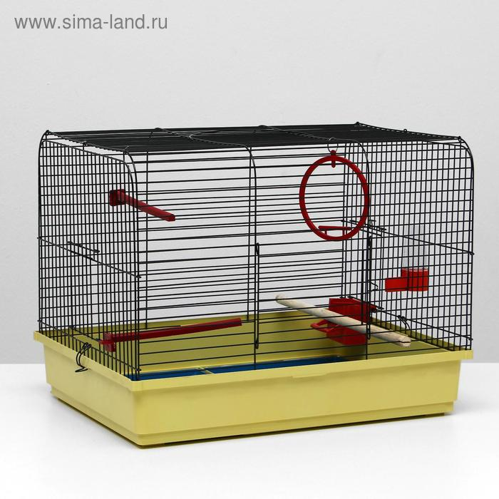 Клетка для птиц Клетка для птиц "Грация", 49 х 36 х 37 см, микс цветов