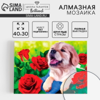 Алмазная мозаика с полным заполнением на холсте &laquo;Щенок&raquo;, 30 х 40 см