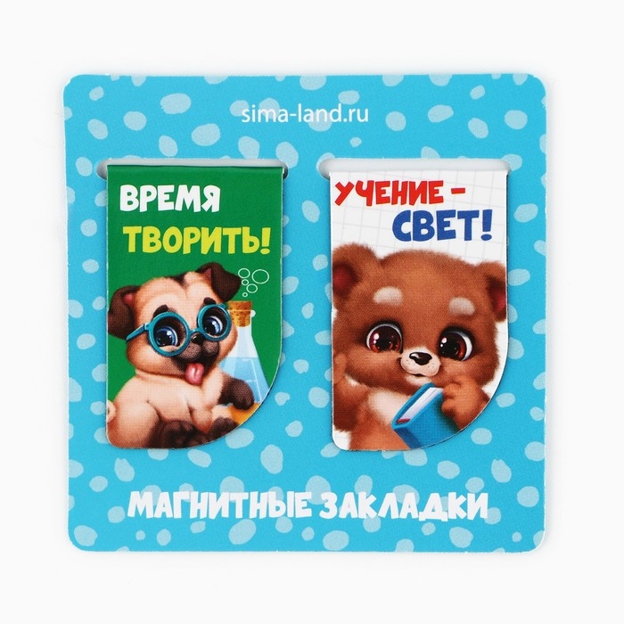 Подарочный набор на выпускной в папке 7 предметов &laquo;Выпускник детского сада&raquo;