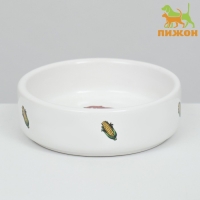 Миска керамическая для грызунов "Кукуруза" 80 мл 8,5 х 3 см Миска керамическая для грызунов "Кукуруза" 80 мл 8,5 х 3 см