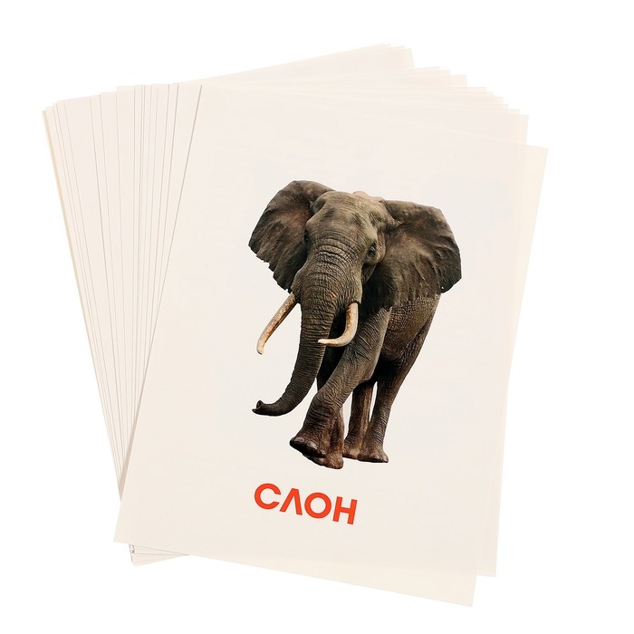 Обучающие карточки &laquo;Дикие животные&raquo;