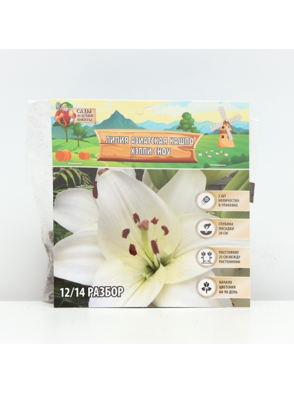 Лилия Азиатская Кашпо Happy Snow, луковица в пакете с перфорацией, р-р 12/14, 2 шт.