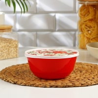 Набор мисок с крышкой &laquo;Гранат&raquo;, 3 шт: 1 л, 2 л, 3 л, цвет красный