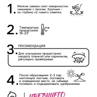 Семена  цветов Бархатцы "Апельсин" прямостоячие, О, 0,3 г