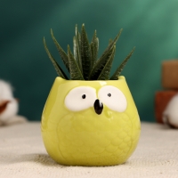 Горшок "Сова Гриня" 5х6см