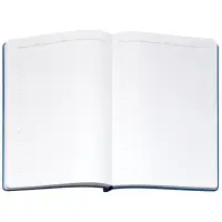 Ежедневник Flexpen Bright, недатированный, синий