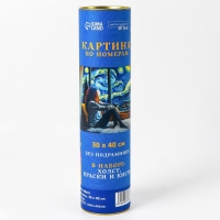 Картина по номерам в тубусе &laquo;С видом на звездную ночь&raquo;, 30 х 40 см