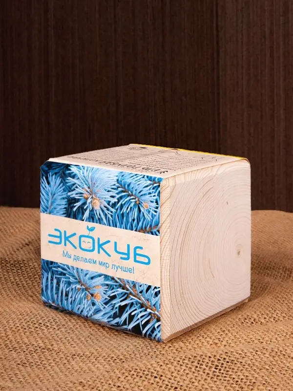 Набор для выращивания &laquo;Экокуб&raquo;, ель голубая