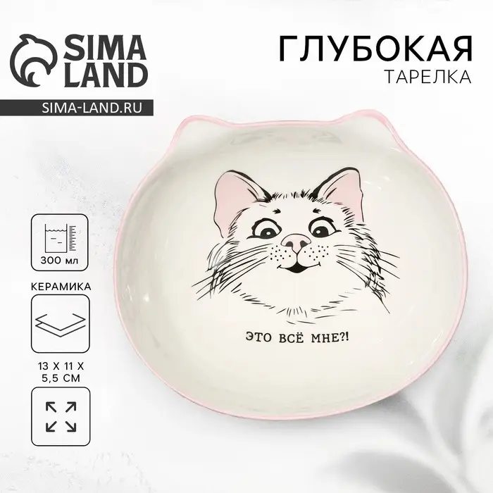 Тарелка суповая керамическая &laquo;Это всё мне?&raquo;, 13&times;11&times;5.5 см, 300 мл