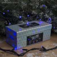 Гирлянда «Нить» 10 м, IP65, УМС, тёмная нить, 100 LED, свечение синее, 220 В Гирлянда «Нить» 10 м, IP65, УМС, тёмная нить, 100 LED, свечение синее, 220 В