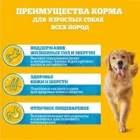 Влажный корм Pedigree для собак, говядина в соусе, пауч, 85 г