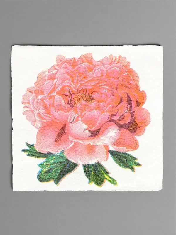 Салфетки бумажные Гармония цвета многоцветие "Пион розовый", 24*24 см 50 листов