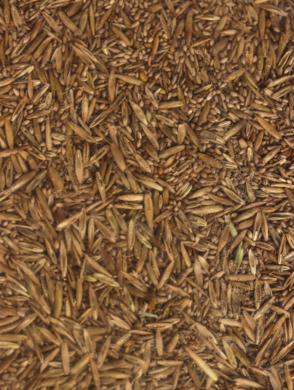 Газон Микс "Мой Выбор" 3кг