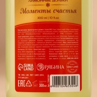 Подарочный набор косметики &laquo;Волшебные ароматы&raquo;, гель для душа и пена для ванны, 2 х 300 мл, аромат пряного глинтвейна и лимонных долек, Новый Год