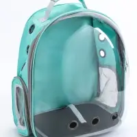 Рюкзак для переноски животных прозрачный, 31 х 28 х 42 см, бирюзовый