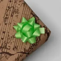 Бант - звезда №3.5, фасовка 8 шт., МИКС