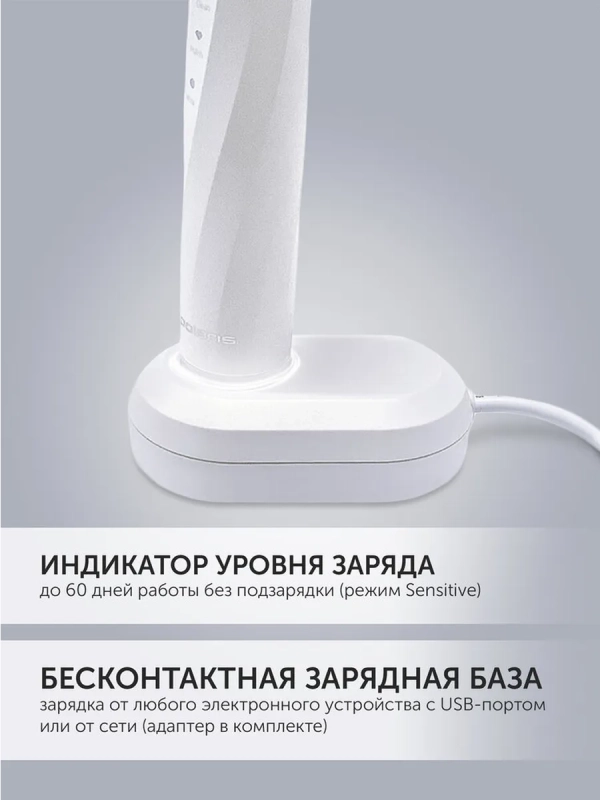 Электрическая зубная щетка PETB 0105 TC