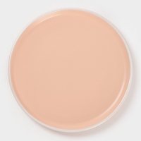 Тарелка Доляна &laquo;Кремовое облако&raquo;, d=20.5 см, керамика, персиковая