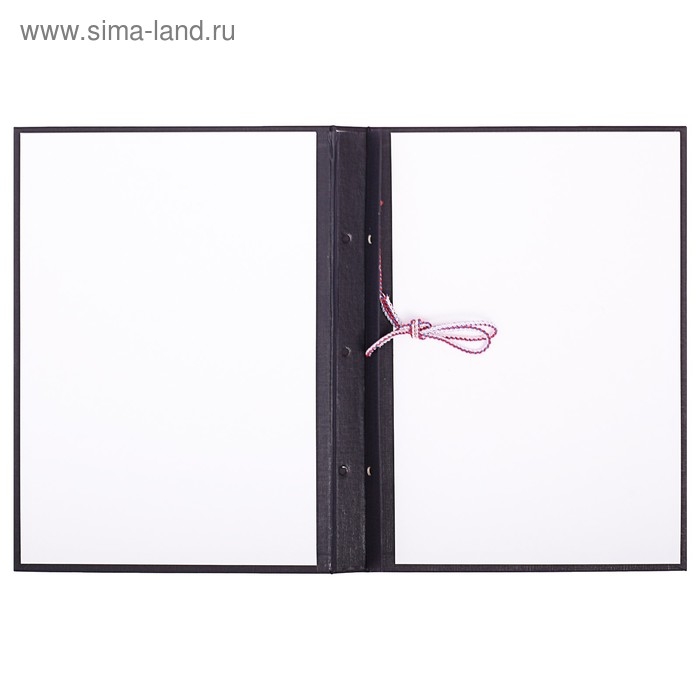 Папка для дипломных работ (Без надписи), бумвинил, гребешки/сутаж, без бумаги, цвет черный (вместимость до 300 листов)