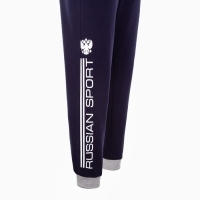 Брюки President Russian Sport, размер М, цвет синий Брюки President Russian Sport, размер М, цвет синий