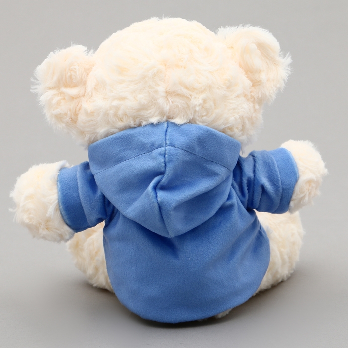 Мягкая игрушка Мишка &laquo;BFF&raquo;, в кофте, 13 см