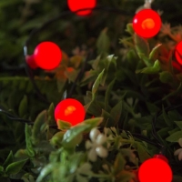 Гирлянда &laquo;Нить&raquo; 4.5 м с насадками &laquo;Шарики&raquo;, IP44, тёмная нить, 30 LED, свечение красное, 2 режима, солнечная батарея