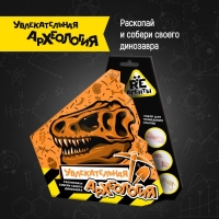 Научно-познавательный набор &laquo;Увлекательная археология&raquo;, модели &laquo;RE-агенты&raquo;