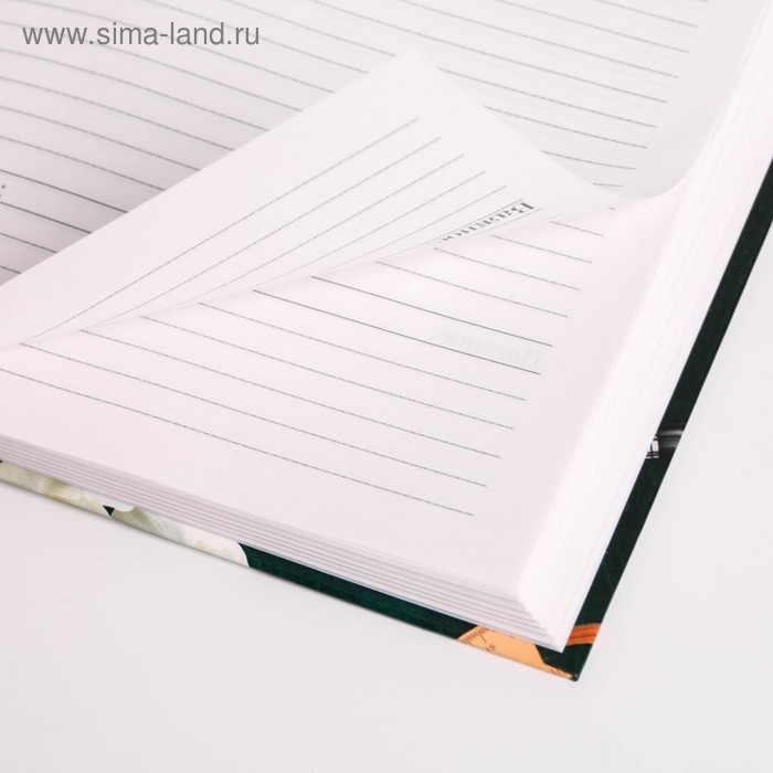 Ежедневник учителя &laquo;Лучшему Учителю&raquo;, формат А5, твёрдая обложка картон 7БЦ, 160 листов