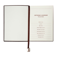 Органайзер на кольцах, А5, 116л, клетка, обл.кожзам, коричневый срез, Черный